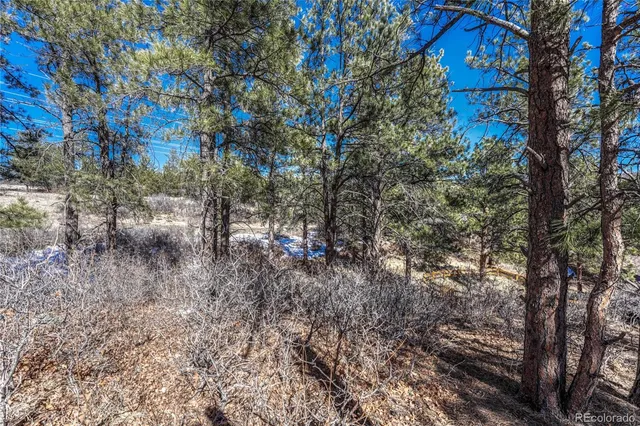 $445,500 | 2111 Ramblewood Court, Castle Rock, CO 80104