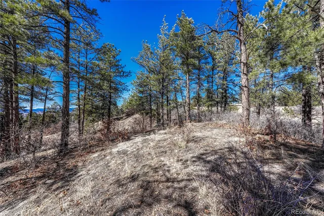 $445,500 | 2111 Ramblewood Court, Castle Rock, CO 80104