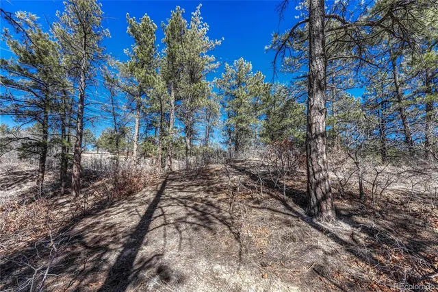 $445,500 | 2111 Ramblewood Court, Castle Rock, CO 80104