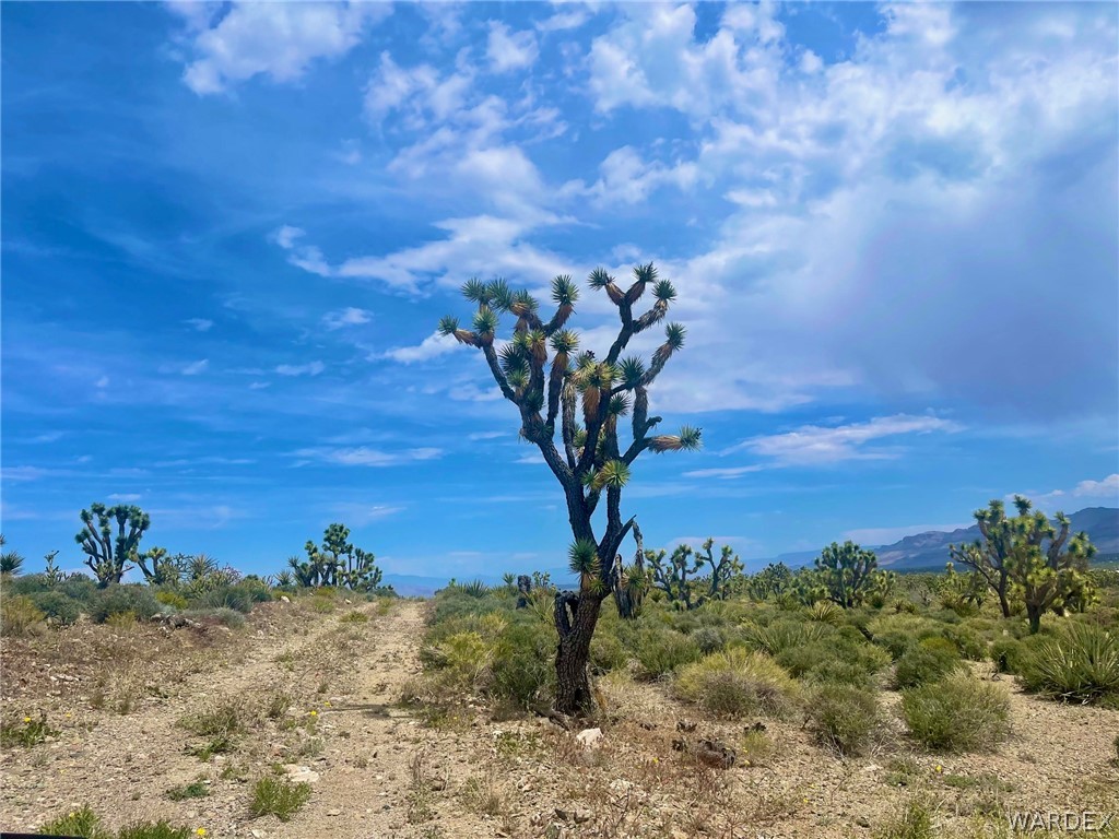 336-05-033 Smith Road Meadview, AZ 86444 - Photo 25 of 36 a view of a tree with a yard