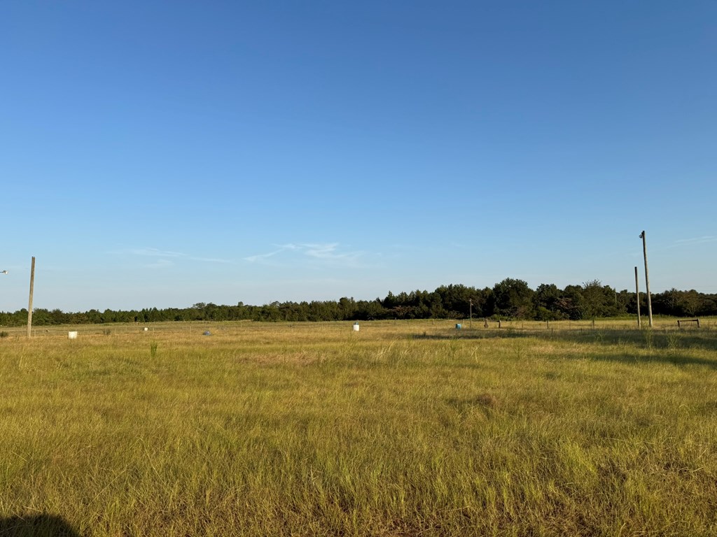 0 County Road 262 Abbeville, AL 36310 - Photo 2 of 10