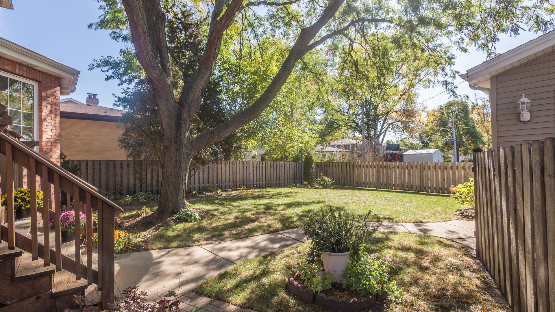 241 Devon Avenue Park Ridge, IL 60068 - Photo 39 of 46 a view of a backyard with wooden fence and a large tree