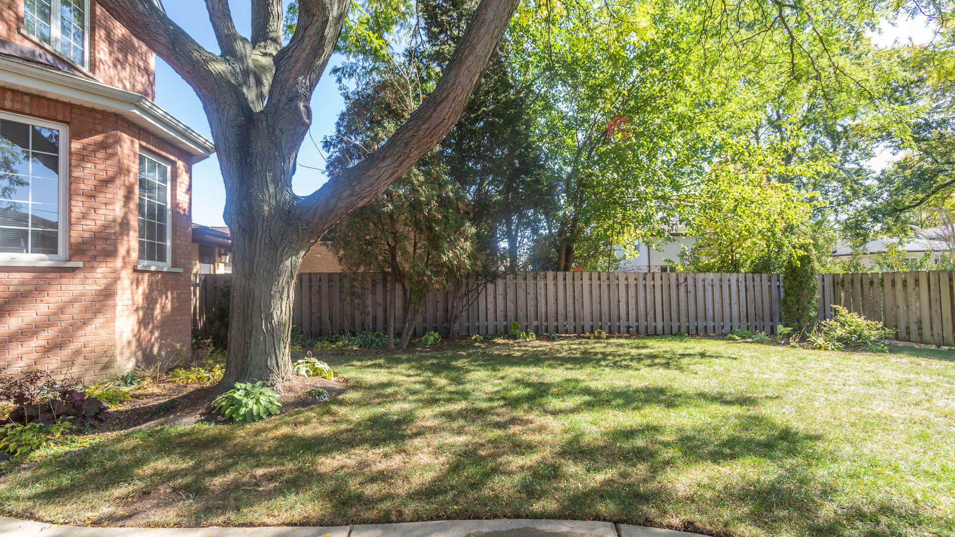 241 Devon Avenue Park Ridge, IL 60068 - Photo 40 of 46 a view of backyard with tree