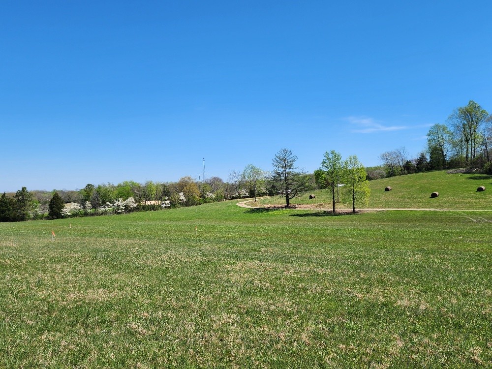 0 Howell Road Westmoreland, TN 37186 - Photo 5 of 7 a view of a grassy field with trees