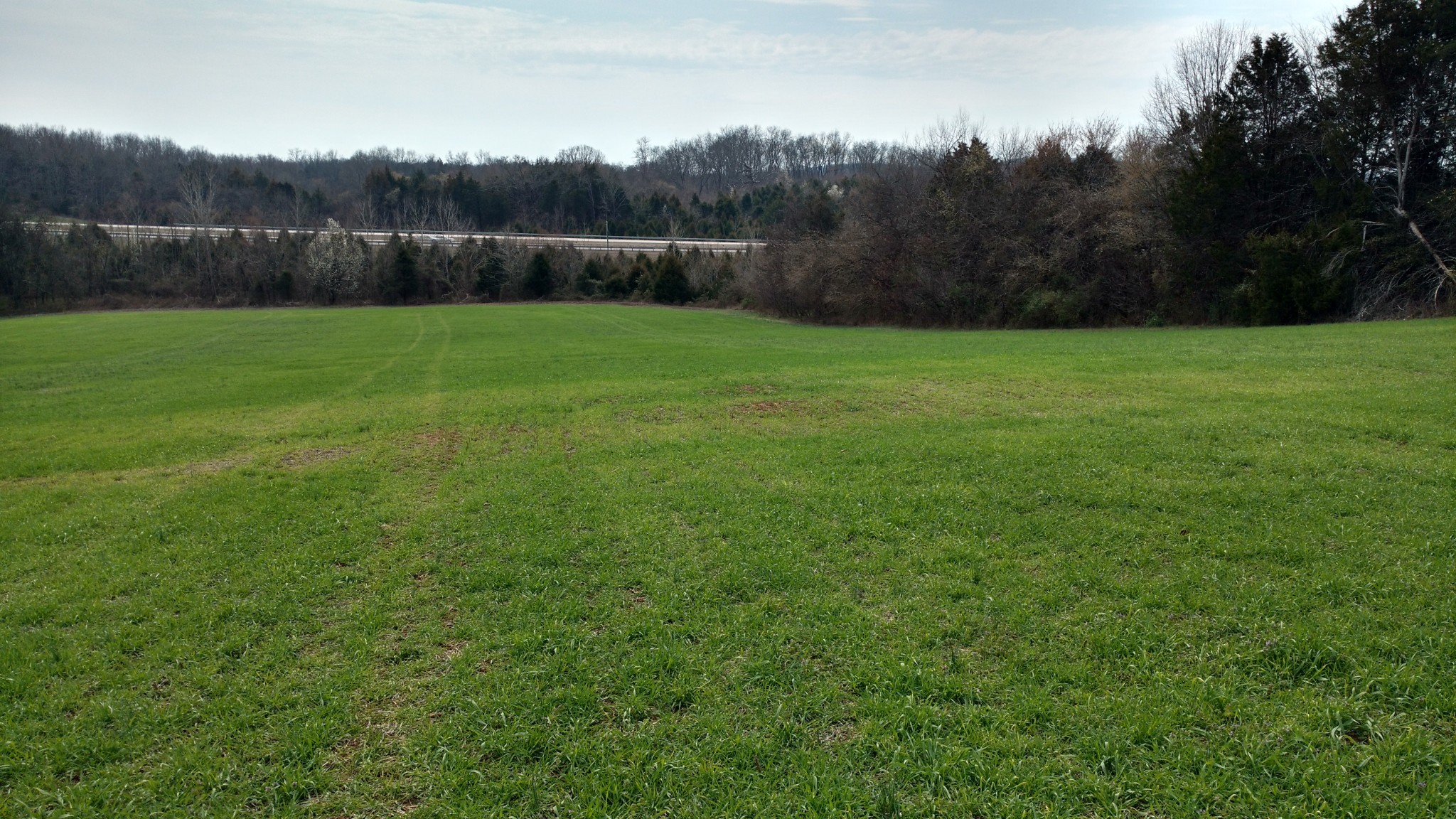 0 Murfreesboro Road Arrington, TN 37014 - Photo 3 of 3 Gallery Image 3