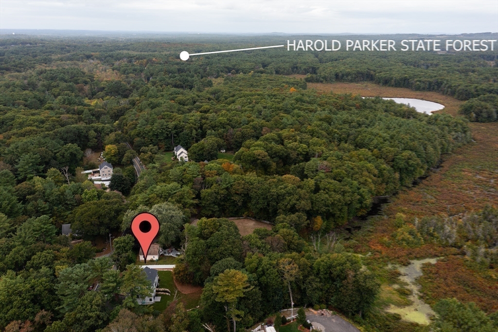 155 Forest Street Middleton, MA 01949 - Photo 36 of 36 Gallery Image 36