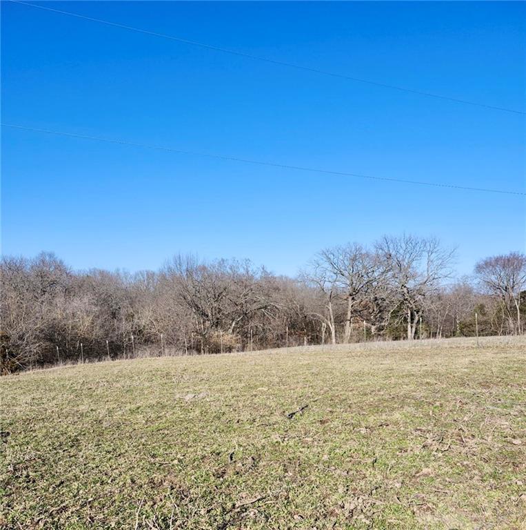 1125 South Van Dyke Road Buckner, MO 64016 - Photo 5 of 6