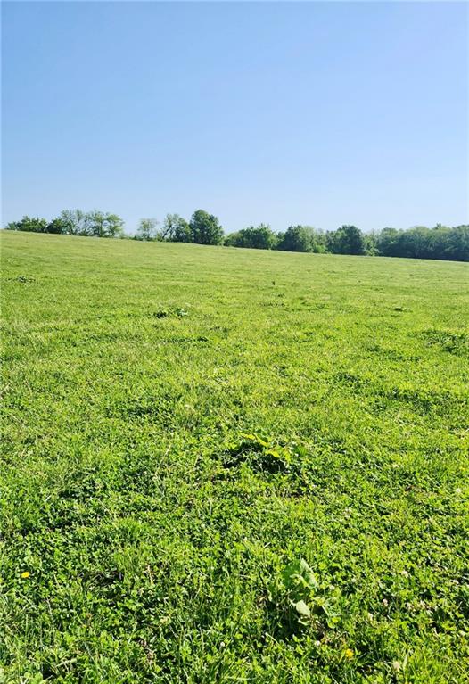 1125 South Van Dyke Road Buckner, MO 64016 - Photo 6 of 6