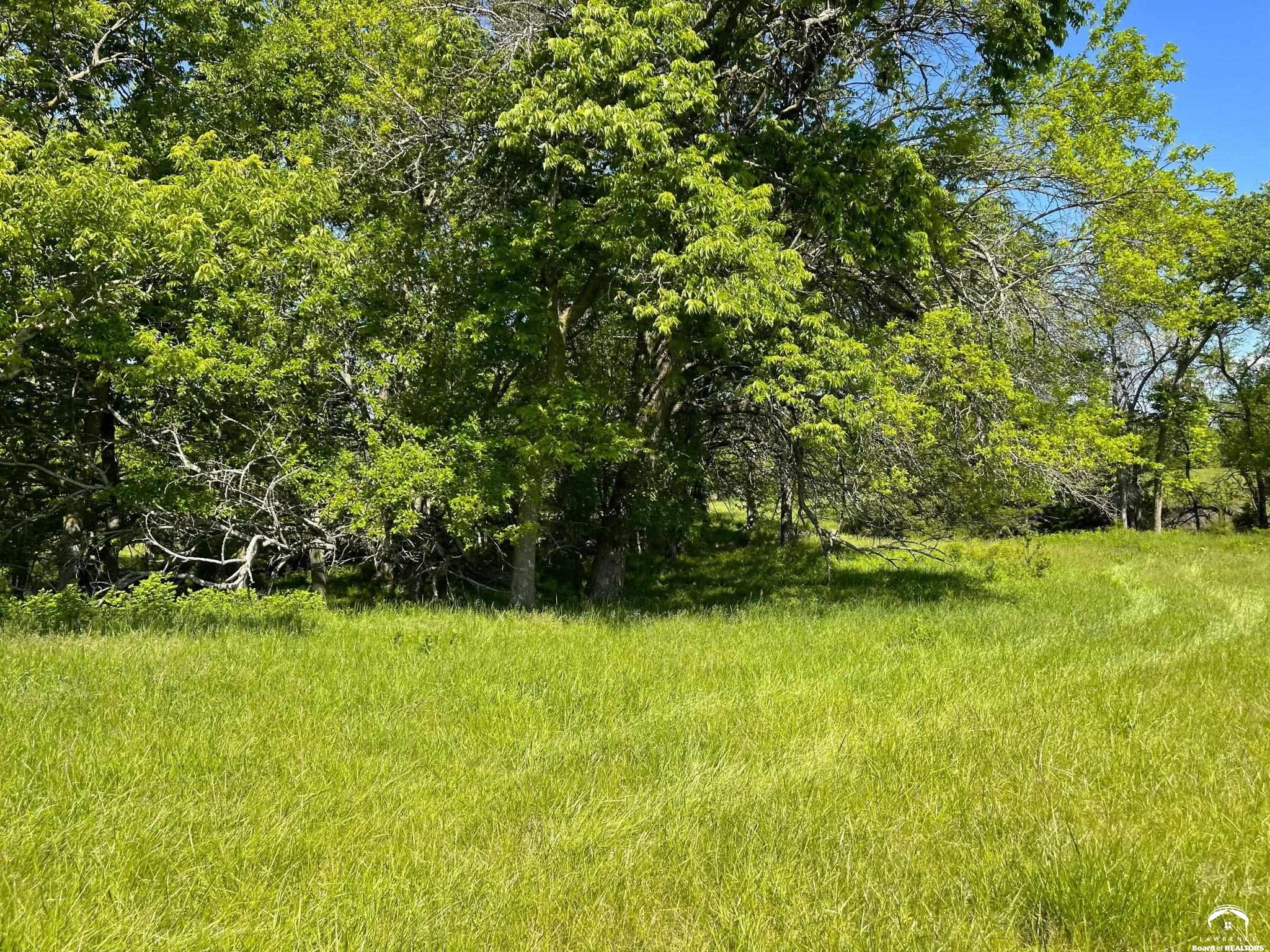 919 North 100th Road Baldwin City, KS 66006 - Photo 18 of 24