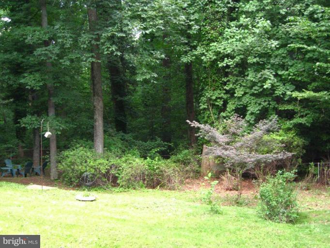 9919 Big Rock Road Silver Spring, MD 20901 - Photo 21 of 23 a view of a yard with a tree