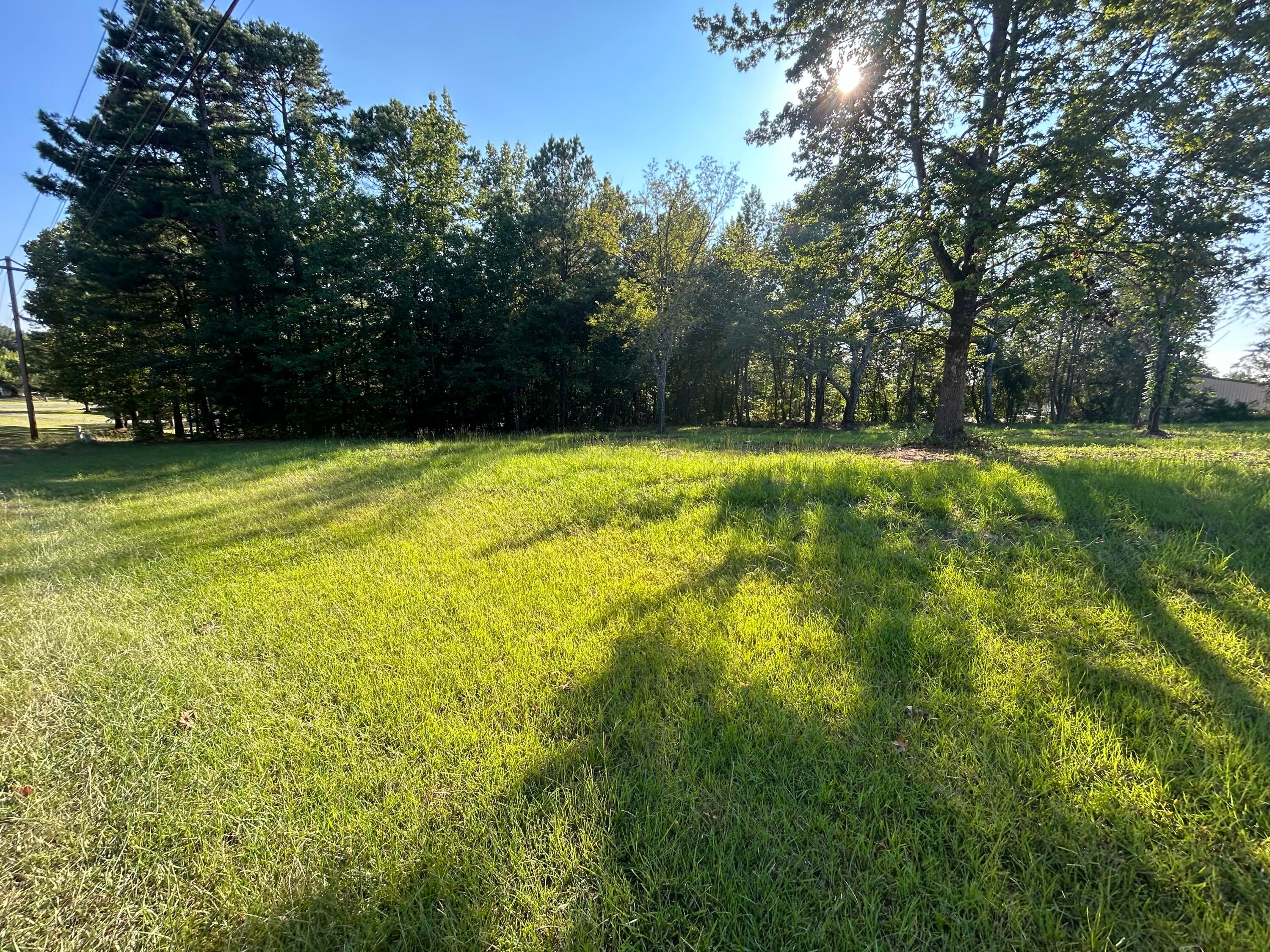 956 Rd Iuka Ms 38852 Cherokee, AL 35616 - Photo 1 of 1 Gallery Image 1