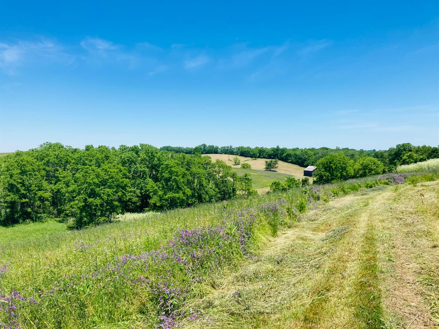 591 Rockridge Road Paris, KY 40361 - Photo 4 of 6 Photo 4