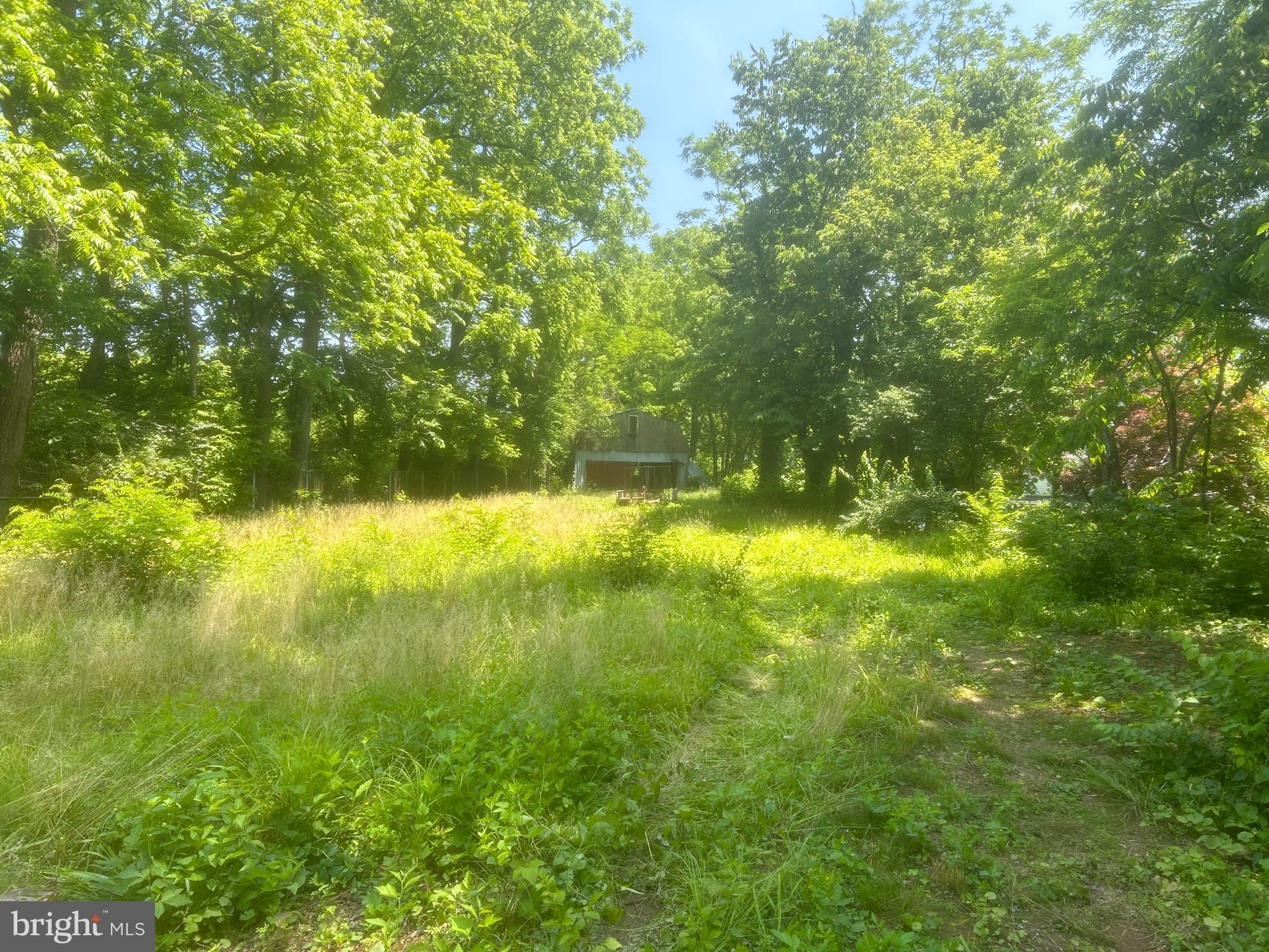 181 Pinetown Road Leola, PA 17540 - Photo 1 of 4 a view of yard with green space