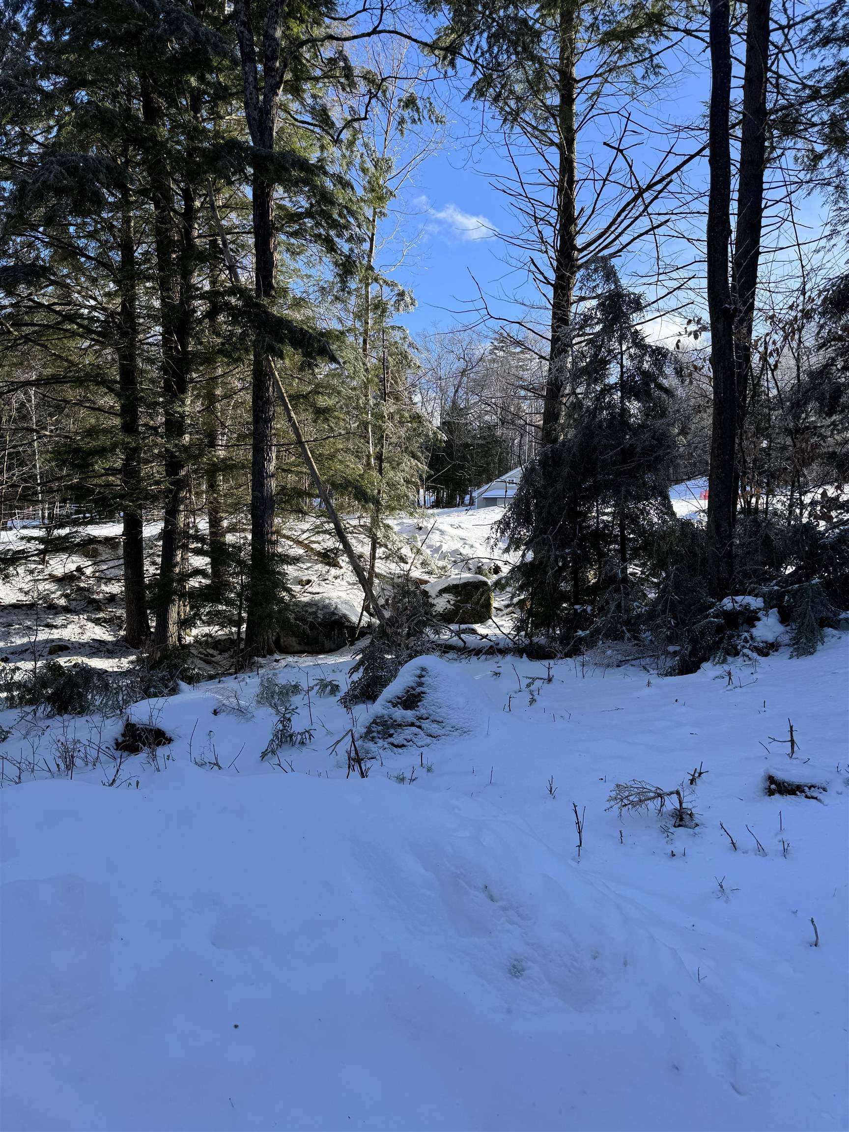 37 Pegwood Hill Road Campton, NH 03223 - Photo 53 of 60