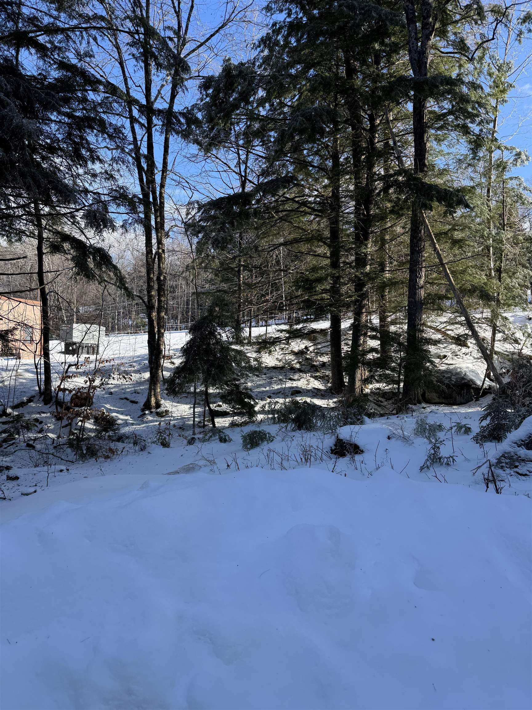 37 Pegwood Hill Road Campton, NH 03223 - Photo 54 of 60