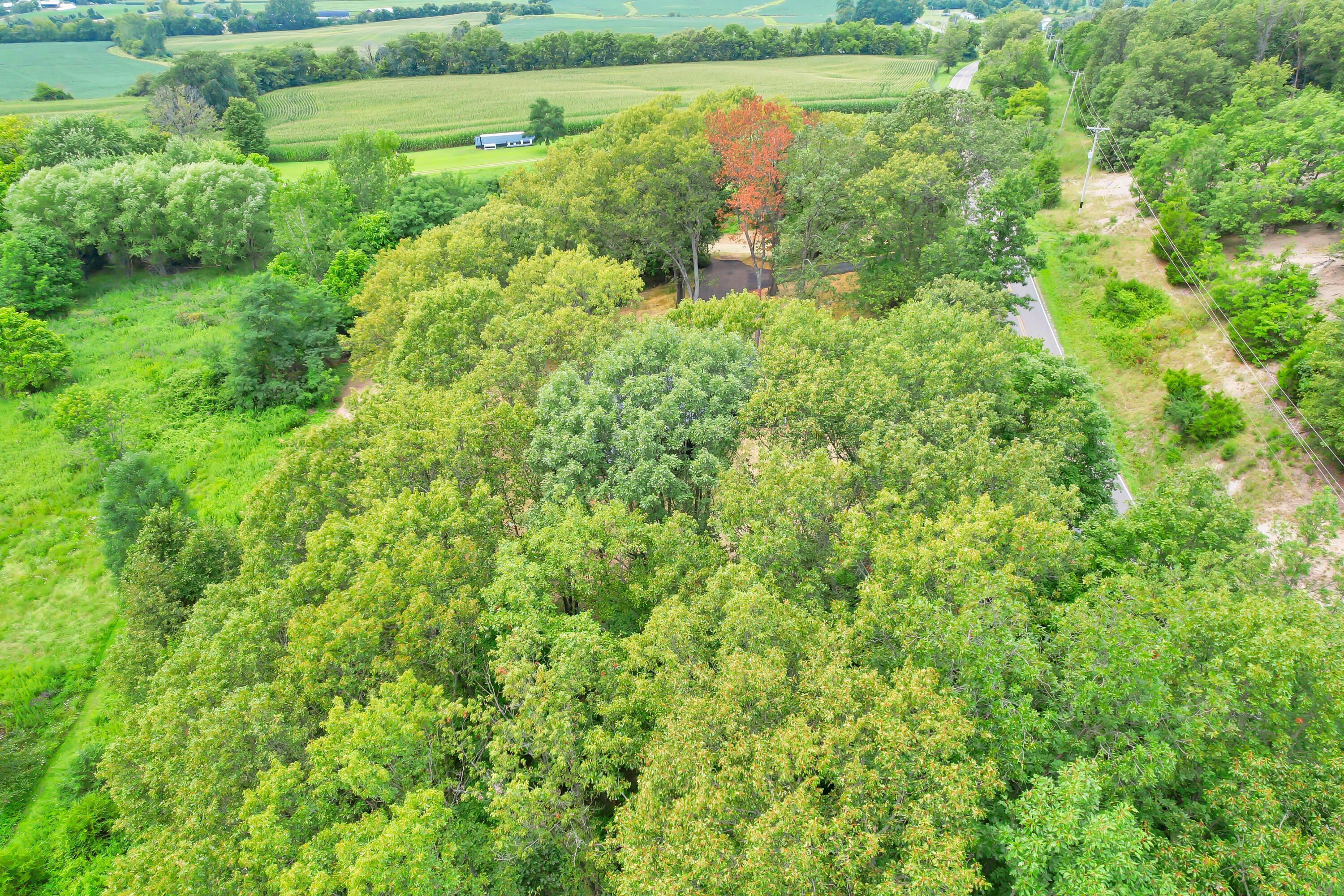 1438 Ragged Ridge Road Frankfort, OH 45628 - Photo 51 of 55 53-print-DJI_0996