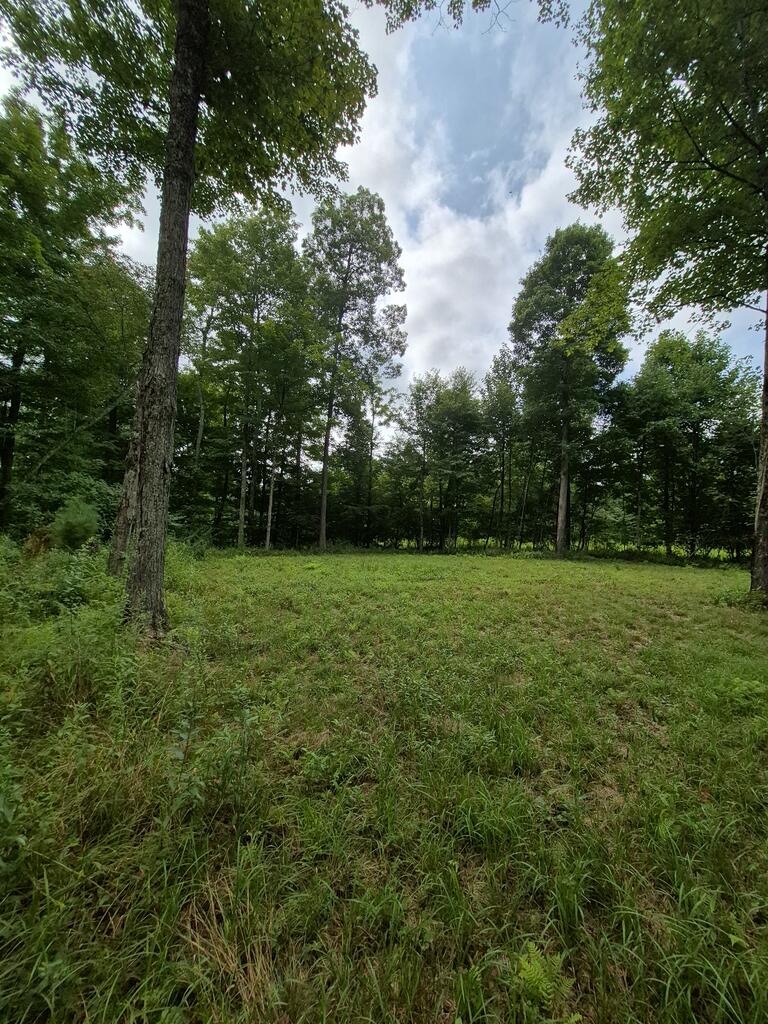 6300 Hurricane Ridge Road Charmco, WV 25958 - Photo 13 of 34 Gallery Image 13
