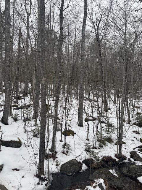 109 Map Road Ellsworth, ME 04605 - Photo 3 of 10 IMG_0302