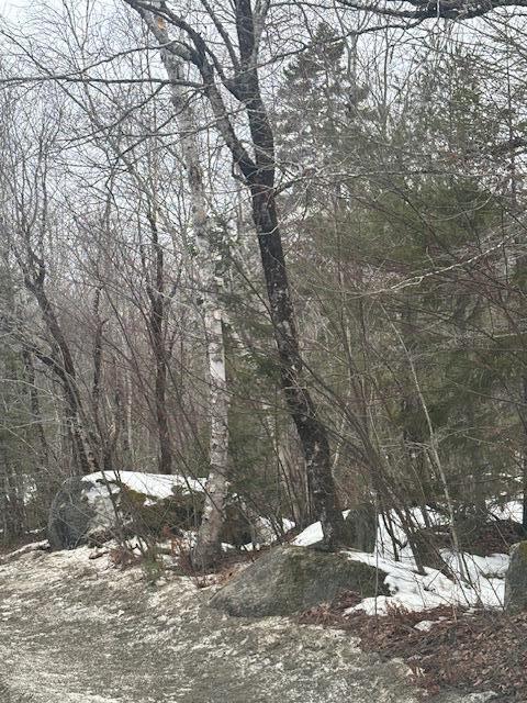 109 Map Road Ellsworth, ME 04605 - Photo 6 of 10 IMG_0299