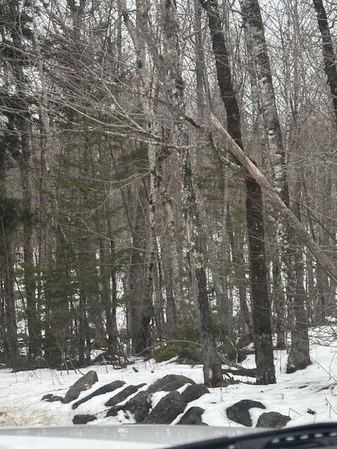 109 Map Road Ellsworth, ME 04605 - Photo 7 of 10 IMG_0298