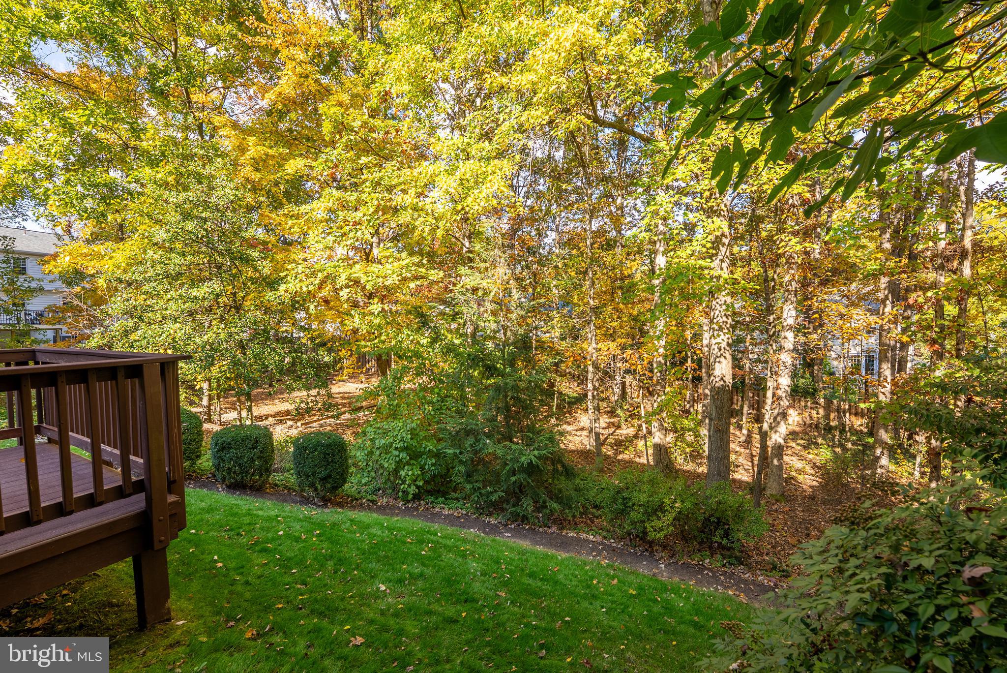 8924 Peoria Court Springfield, VA 22153 - Photo 35 of 46 a view of a bench in a garden