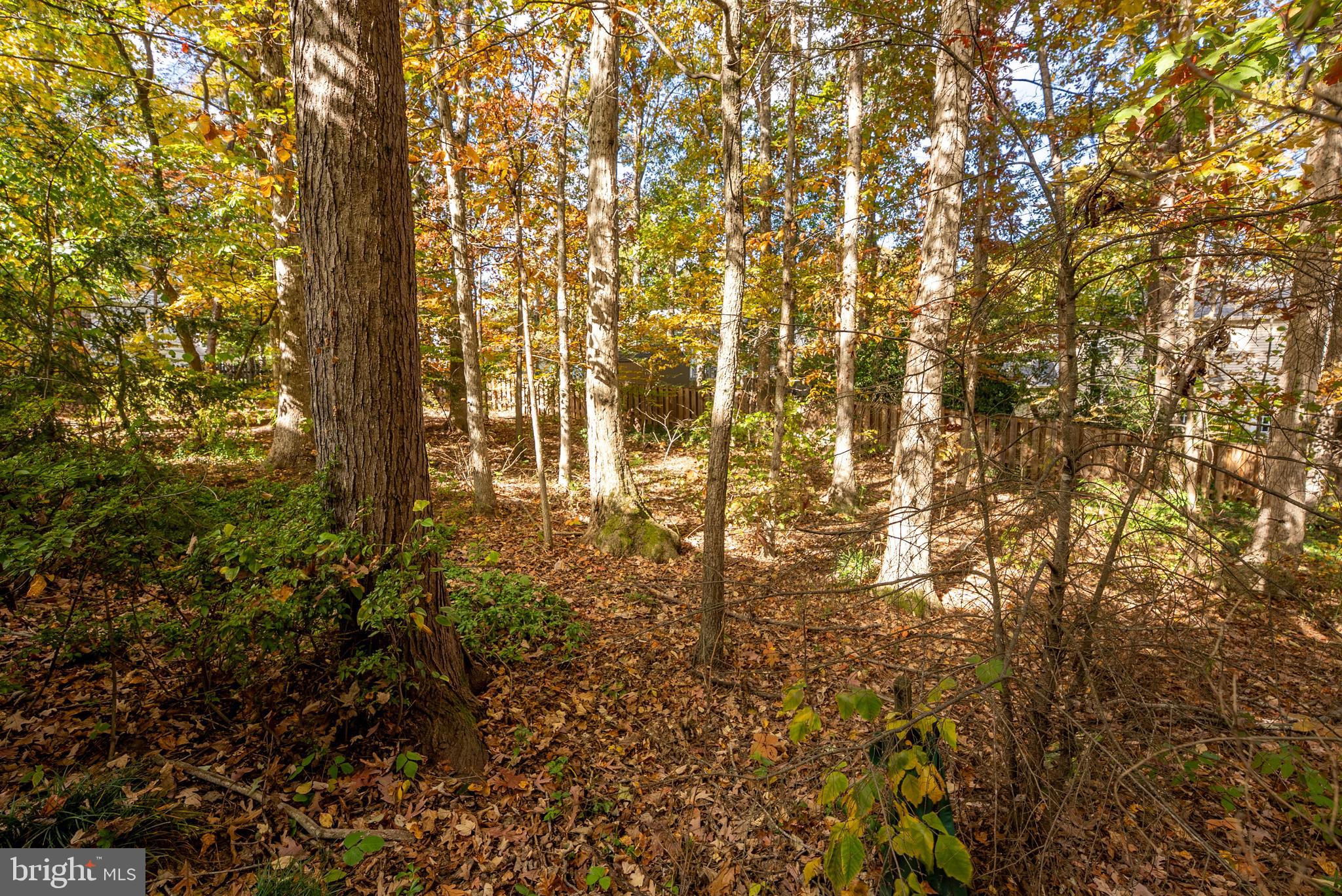 8924 Peoria Court Springfield, VA 22153 - Photo 38 of 46