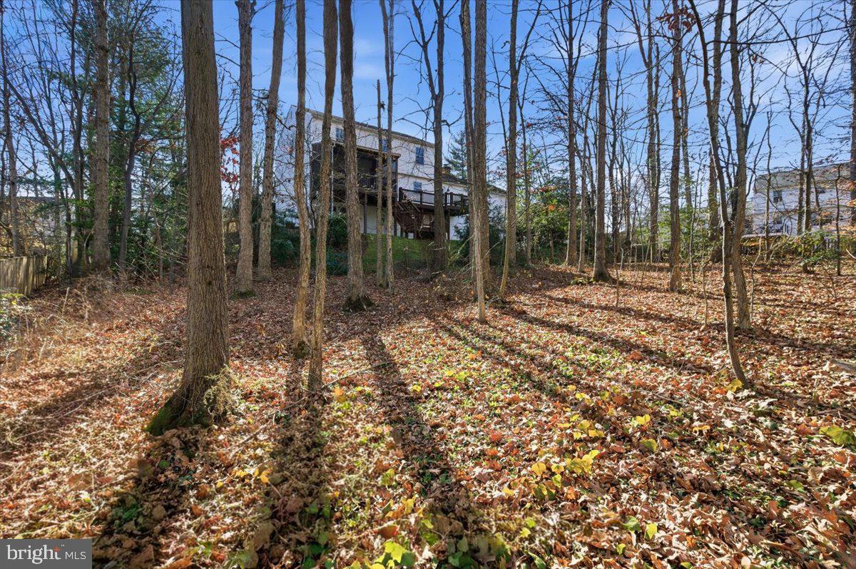 8924 Peoria Court Springfield, VA 22153 - Photo 41 of 46