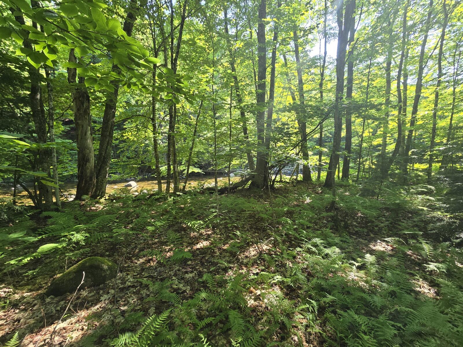 Lot 67 Temple Road Temple, ME 04984 - Photo 21 of 37 20260629_092813