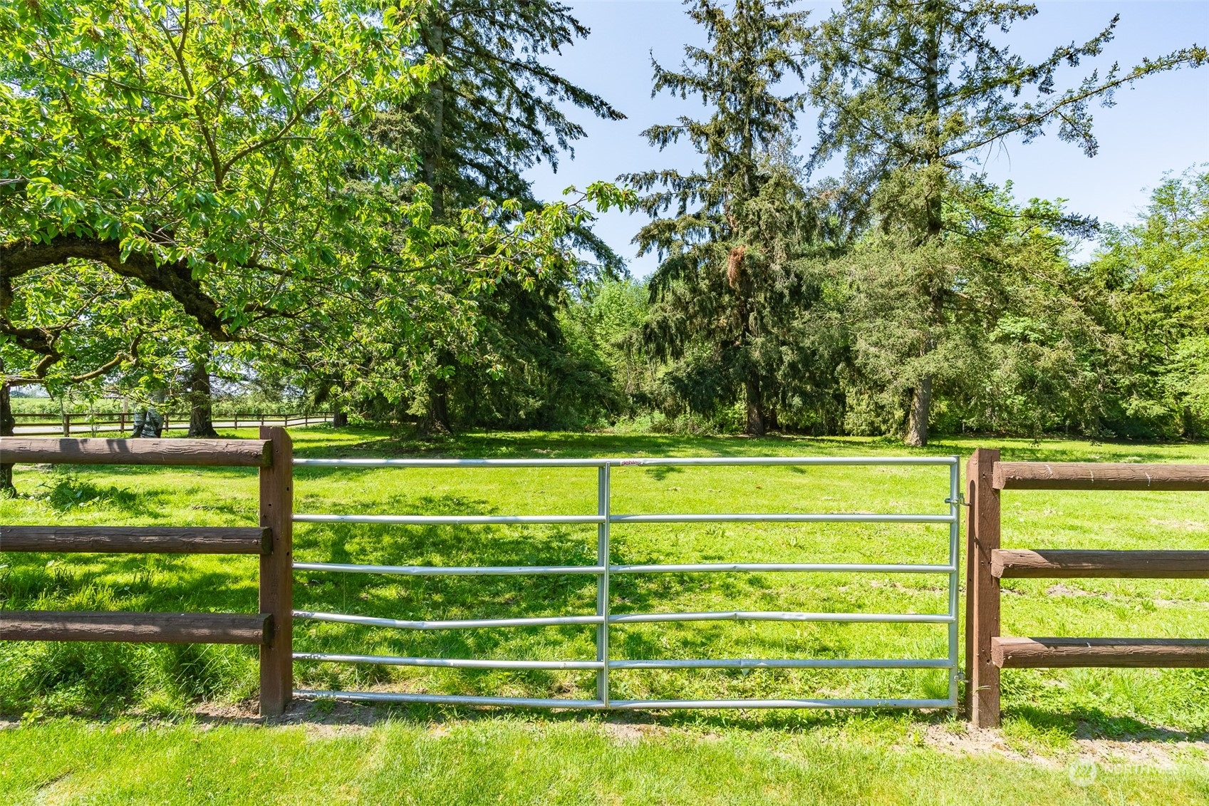 3316 Massey Road Everson, WA 98247 - Photo 37 of 40 Gallery Image 37