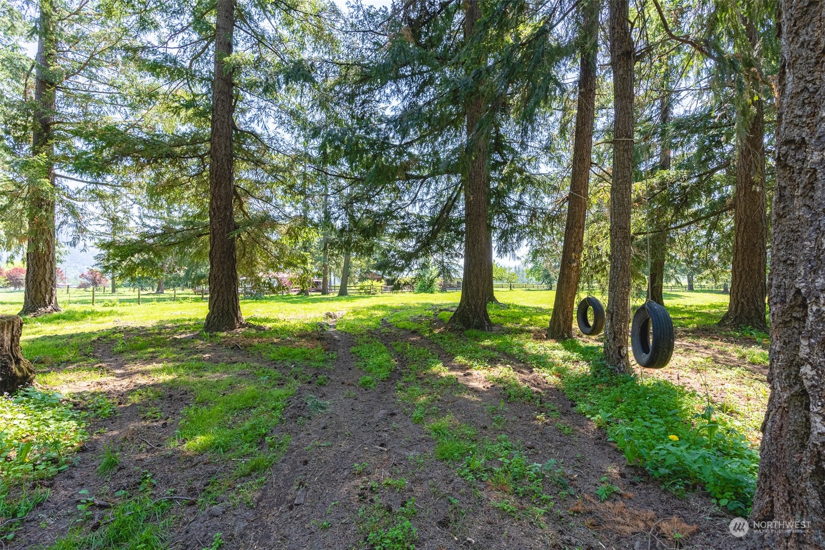 3316 Massey Road Everson, WA 98247 - Photo 38 of 40 Gallery Image 38