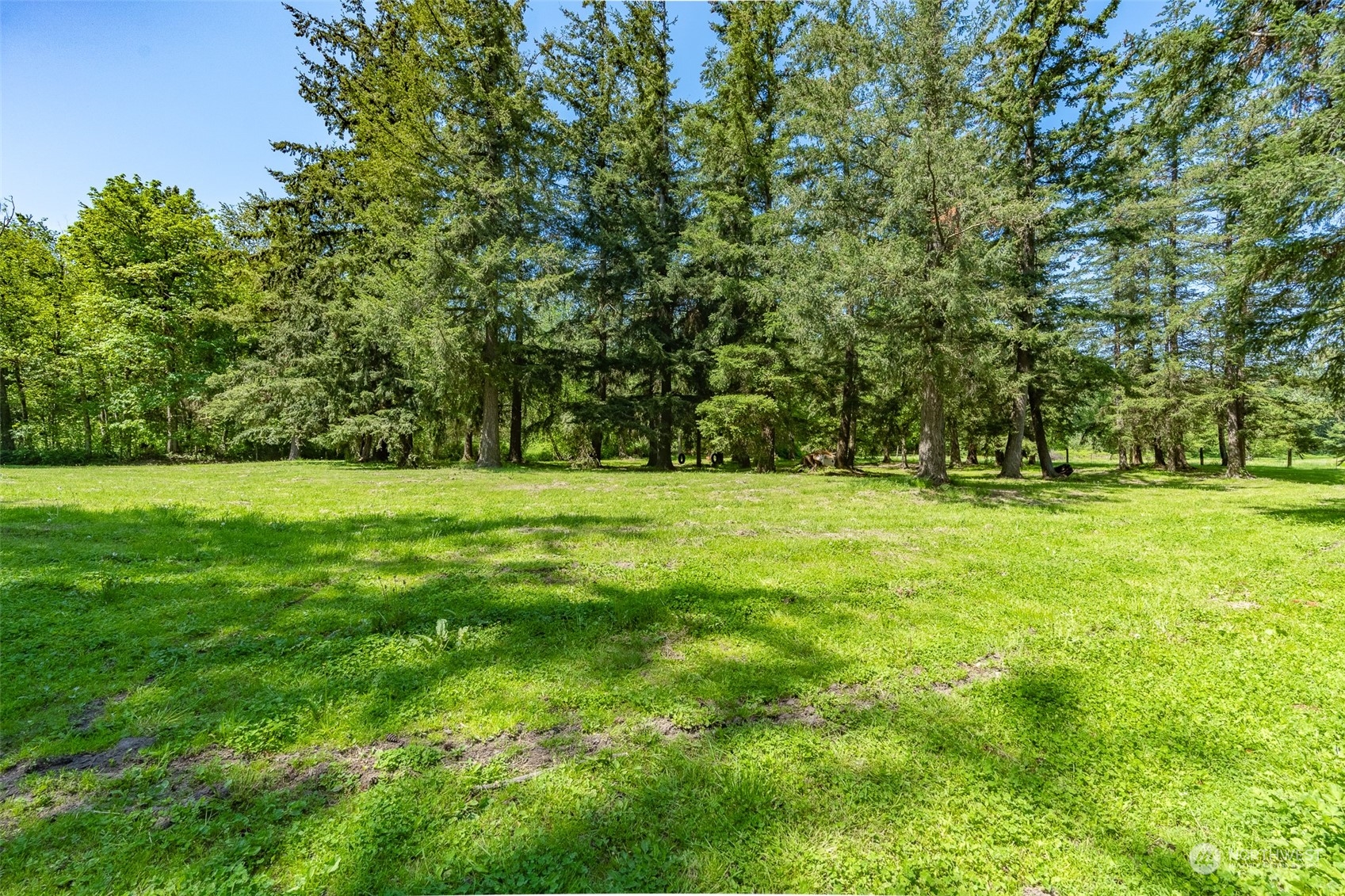 3316 Massey Road Everson, WA 98247 - Photo 39 of 40 Gallery Image 39