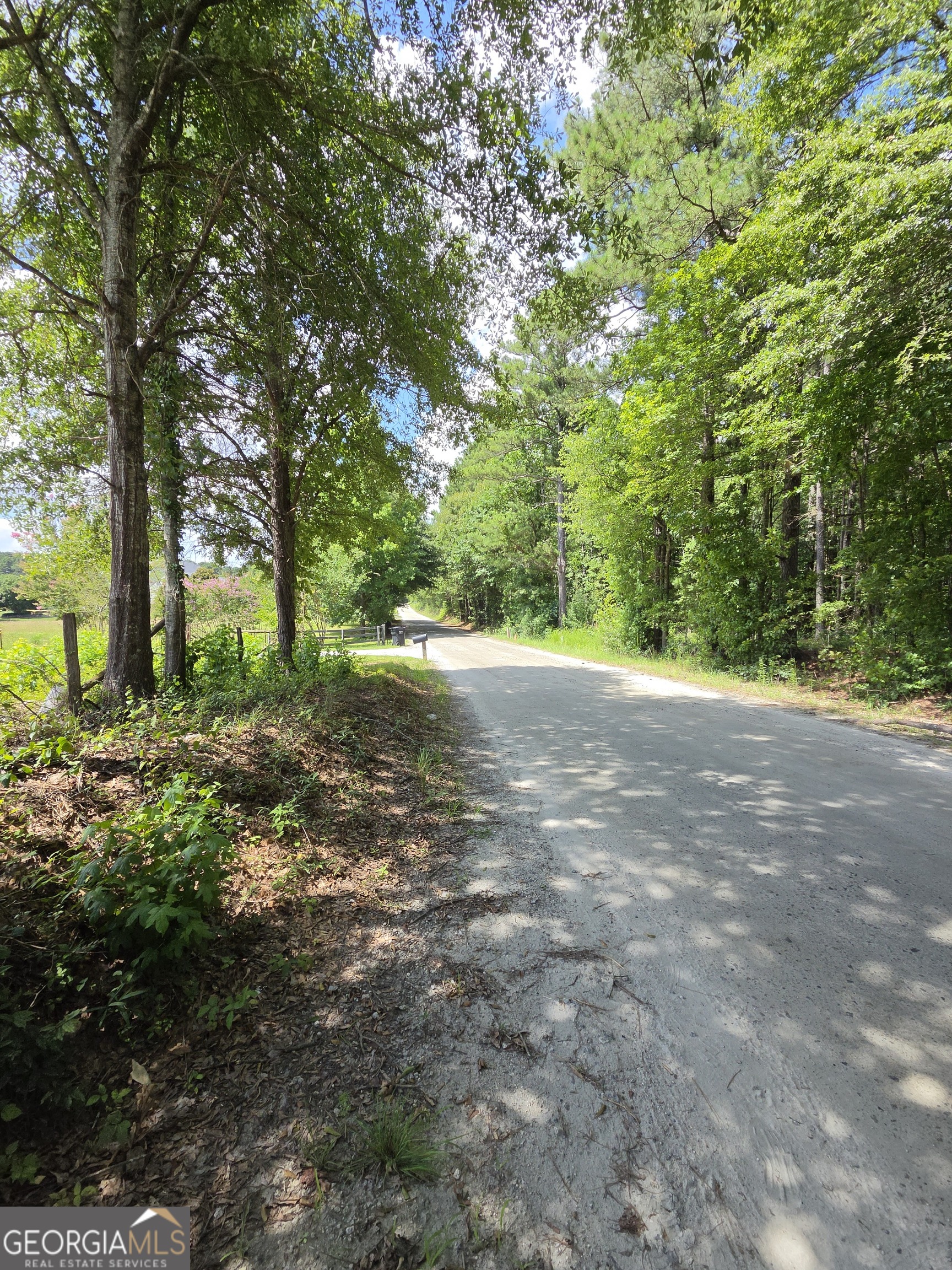 0 Trickum Creek Road Tyrone, GA 30290 - Photo 9 of 9