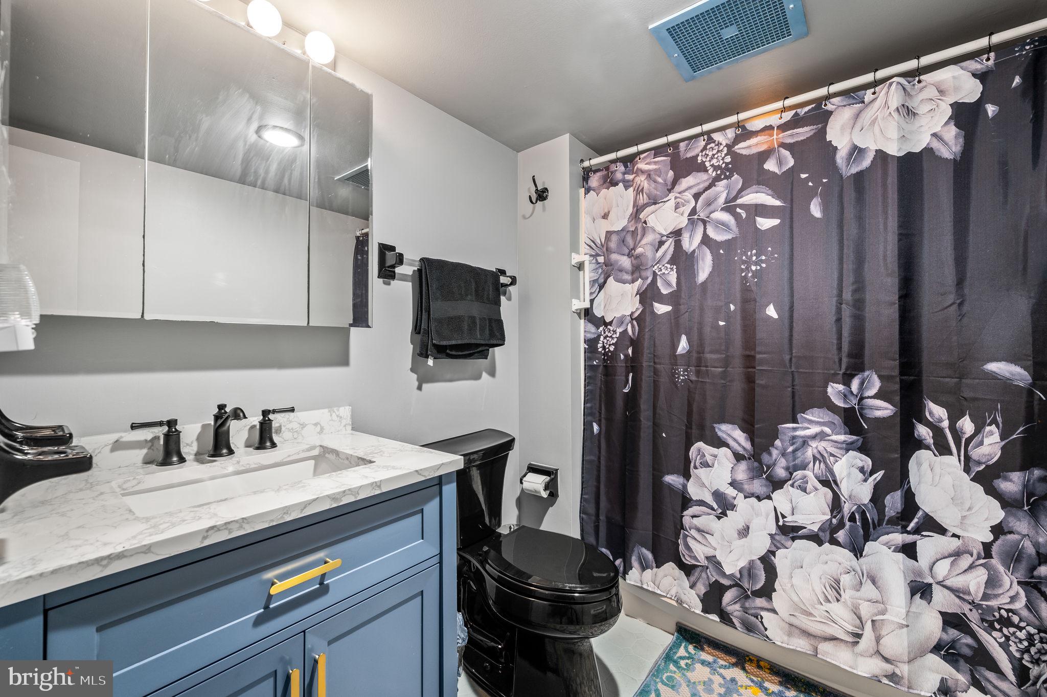 800 Avondale Road, Unit 2P Wallingford, PA 19086 - Photo 12 of 19 Bathroom w new vanity.
