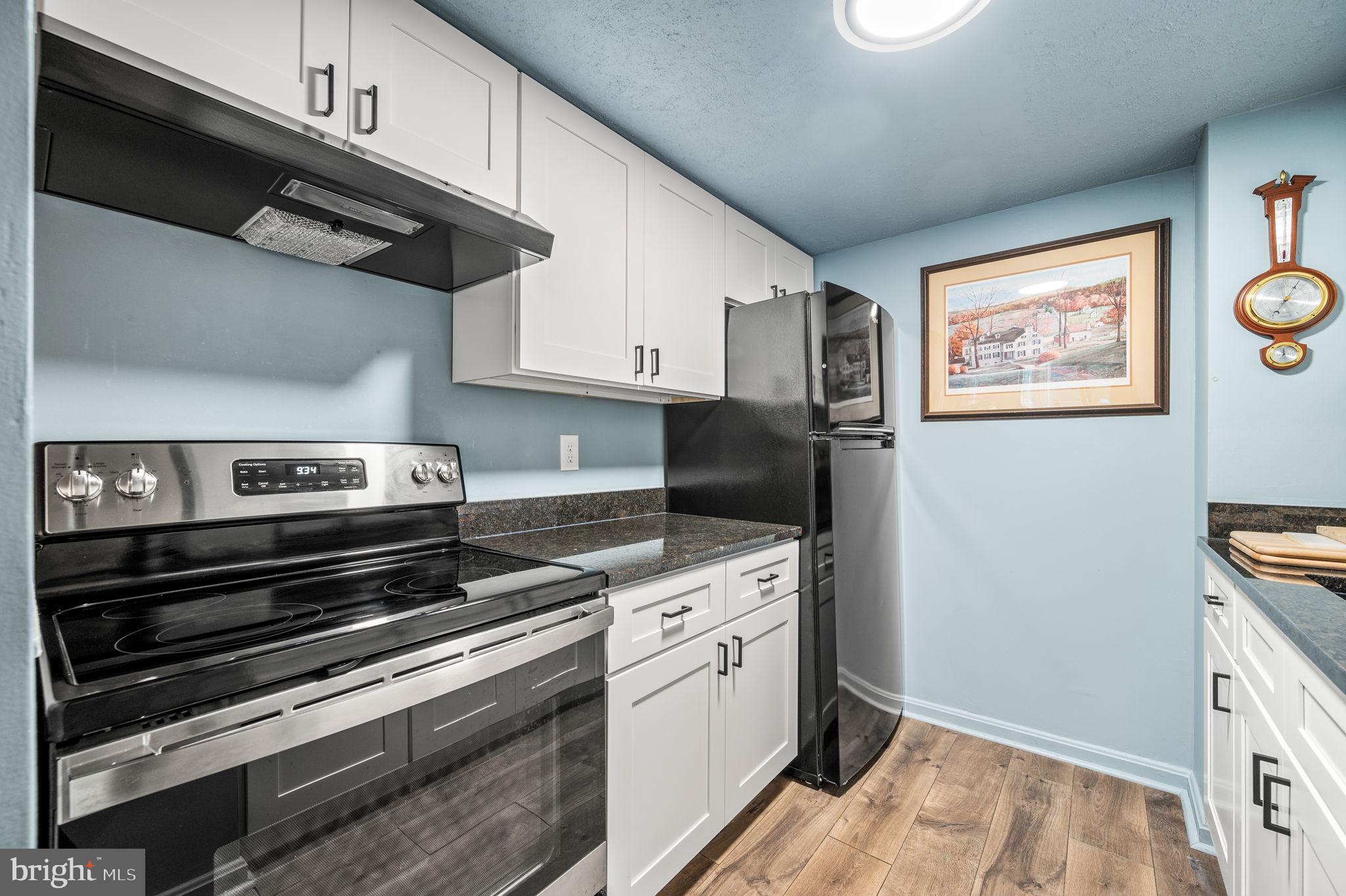 800 Avondale Road, Unit 2P Wallingford, PA 19086 - Photo 6 of 19 Newly renovated kitchen.