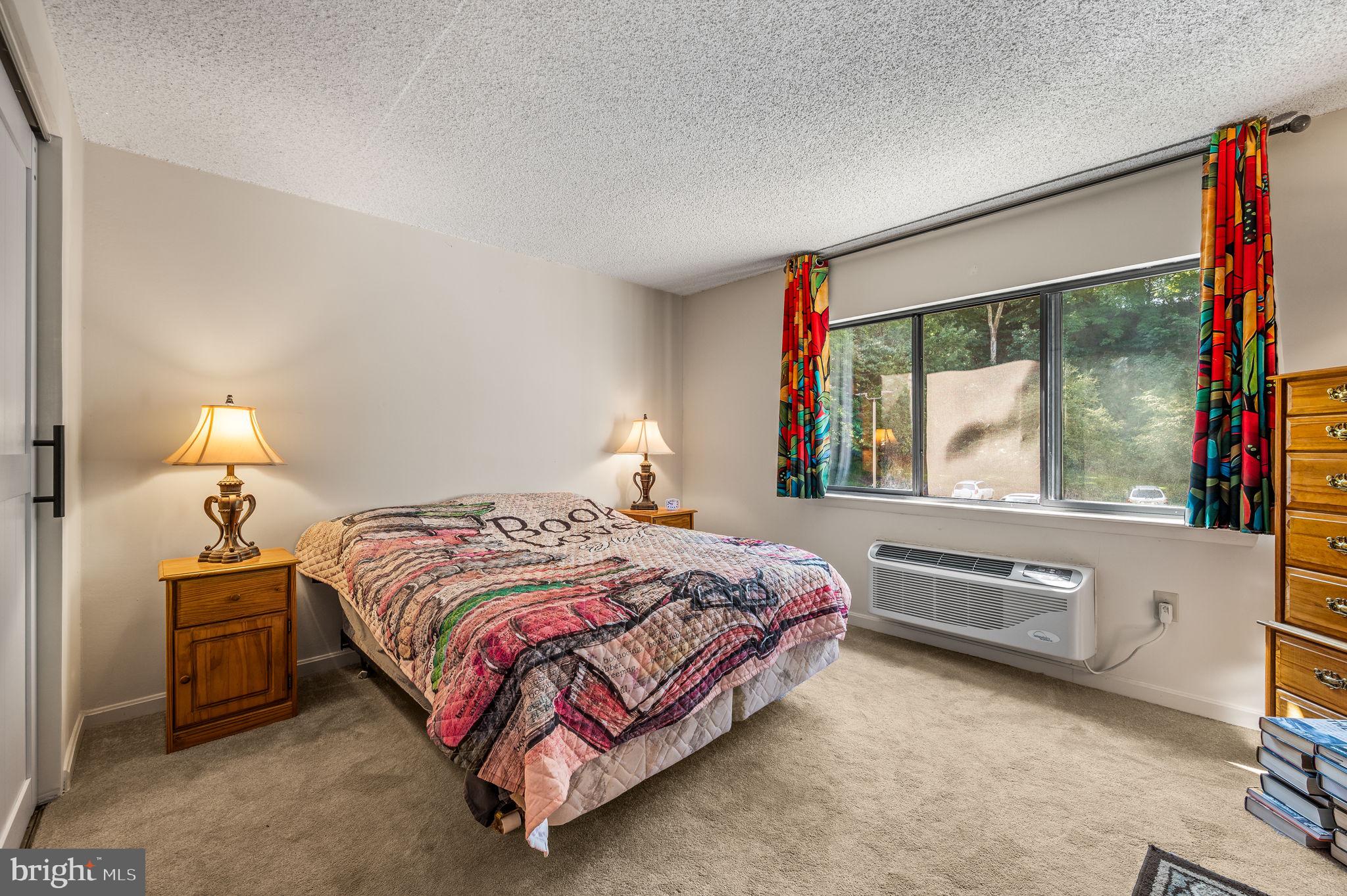 800 Avondale Road, Unit 2P Wallingford, PA 19086 - Photo 8 of 19 Primary bedroom w sliding windows.