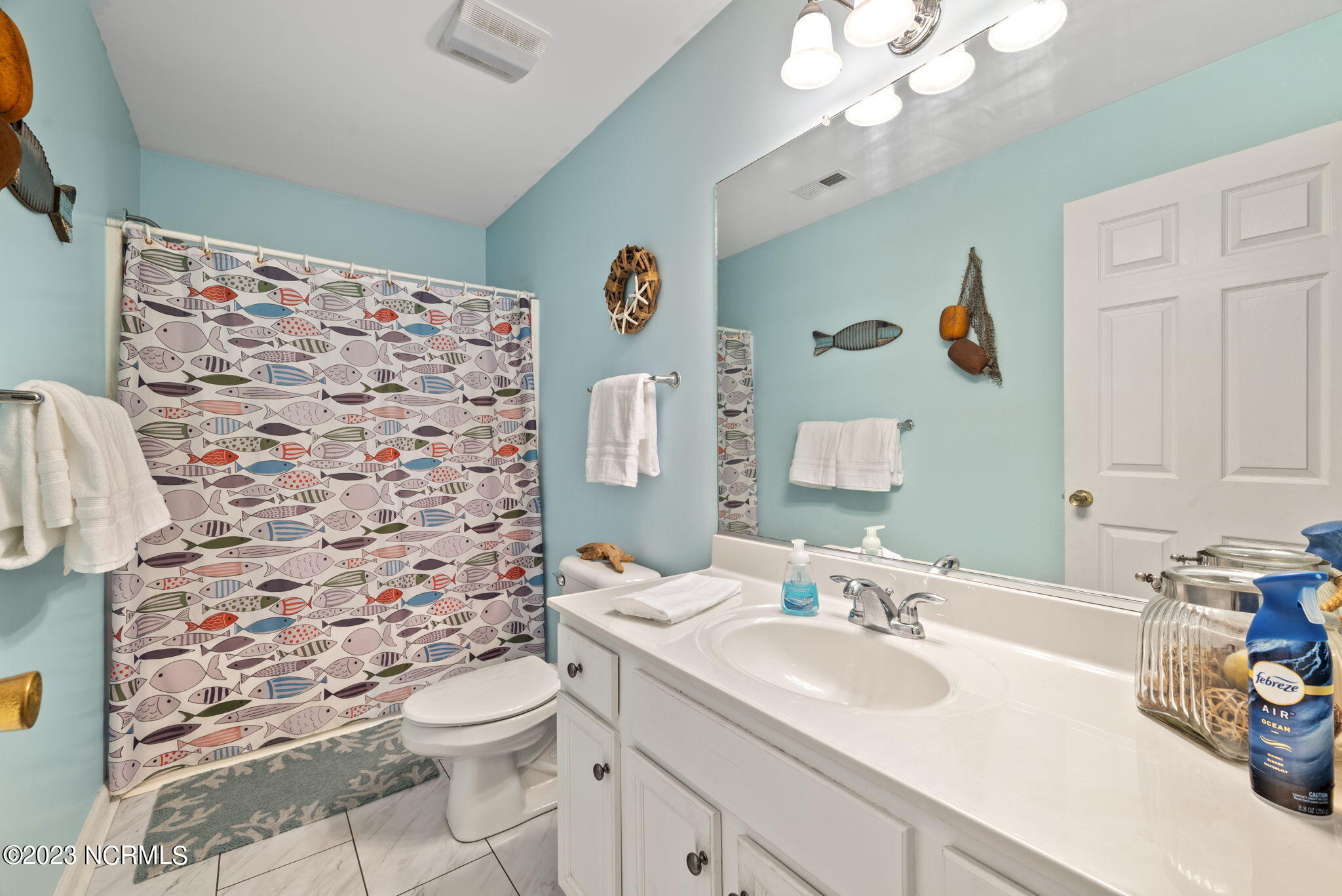 974 Scott Road Elizabeth City, NC 27909 - Photo 22 of 50 Hallway Bathroom