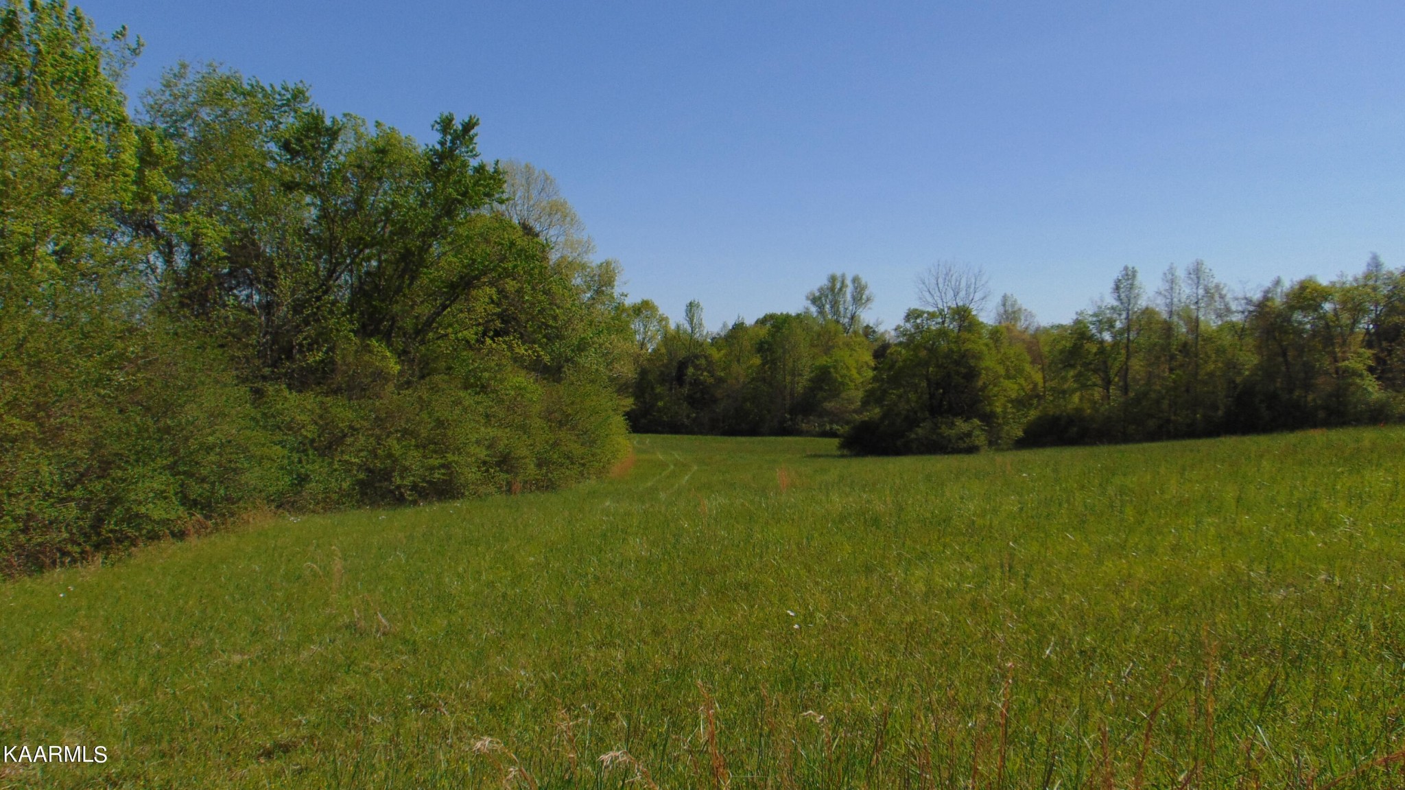 6 Euchee Road Ten Mile, TN 37880 - Photo 9 of 28