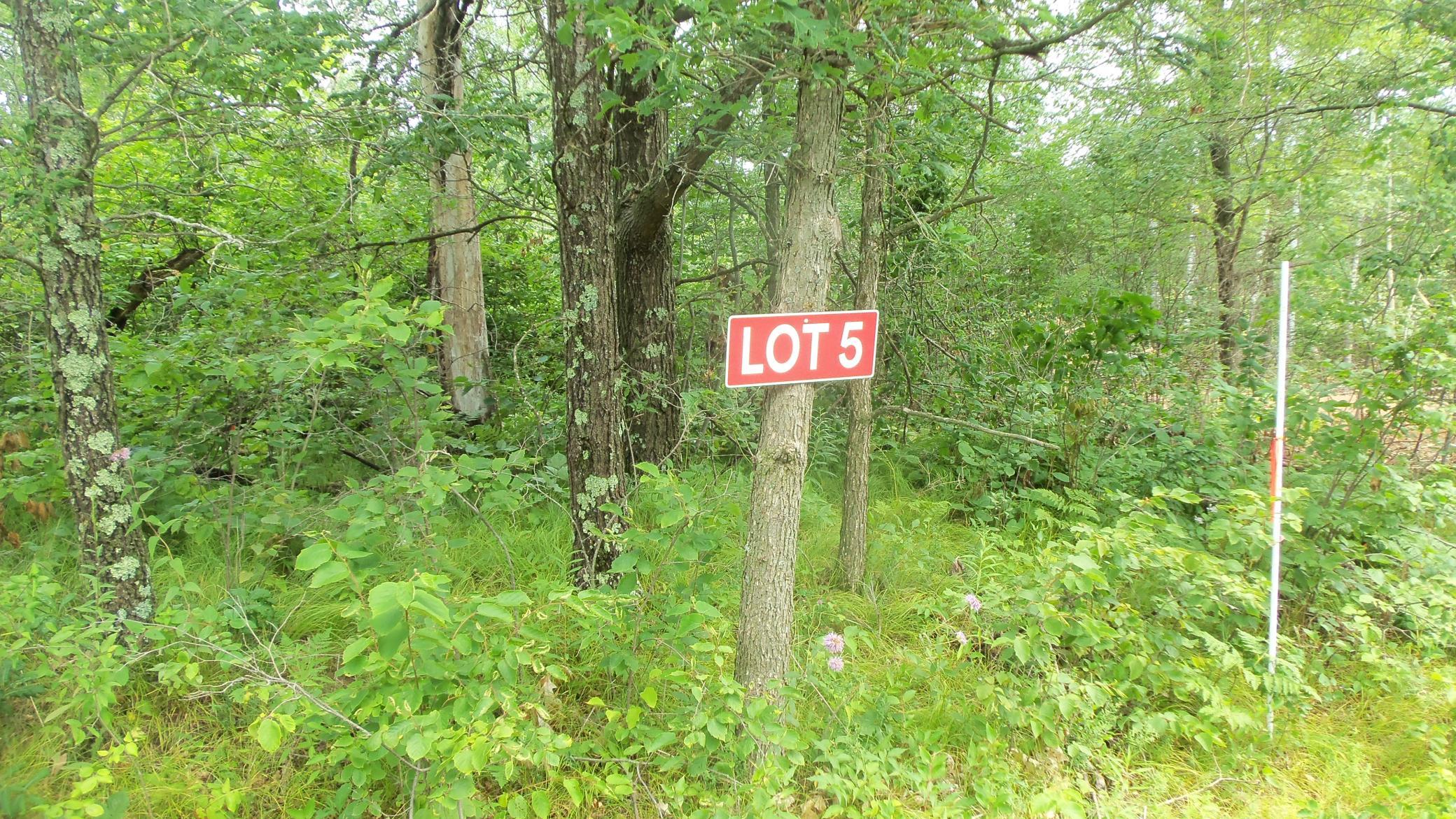Lot 5 Deerfield Road Trego, WI 54888 - Photo 1 of 1 Gallery Image 1