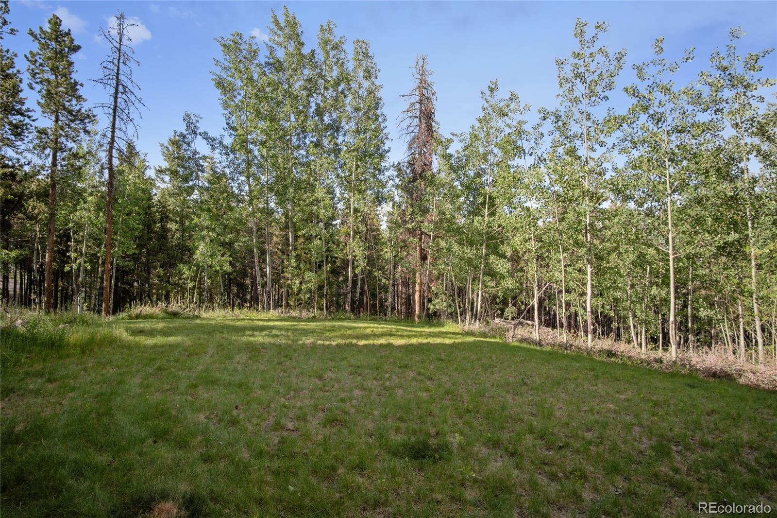 8321 South Warhawk Road Conifer, CO 80433 - Photo 32 of 35 Gallery Image 32