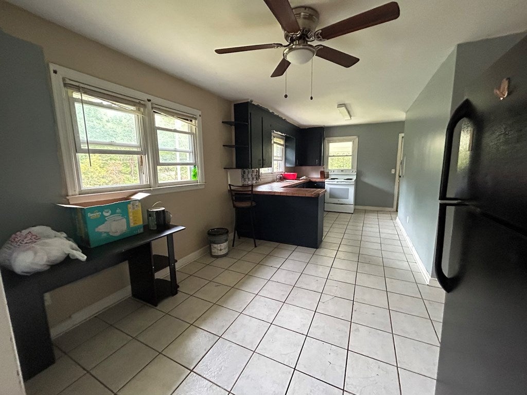 8199 Ivanhoe Road Ivanhoe, VA 24350 - Photo 15 of 27 Gallery Image 15