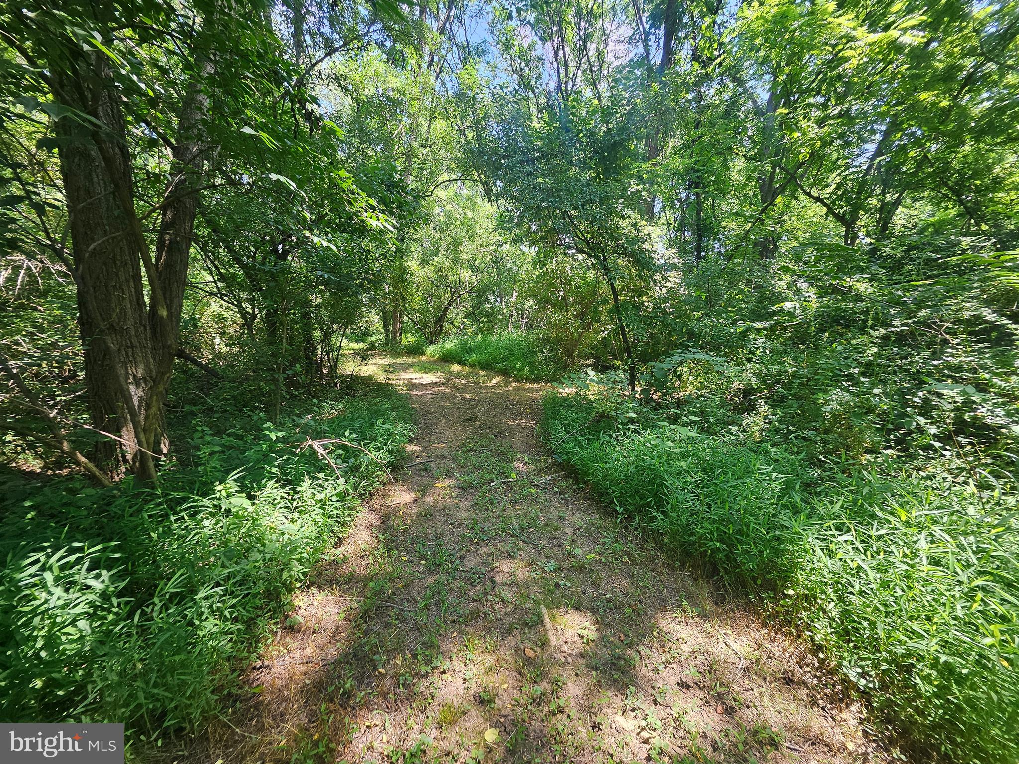 1918 Senseny Road Berryville, VA 22611 - Photo 41 of 58