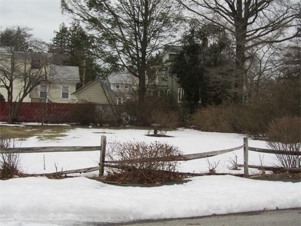 16 Huntington Road Milton, MA 02186 - Photo 3 of 24 a view of a yard