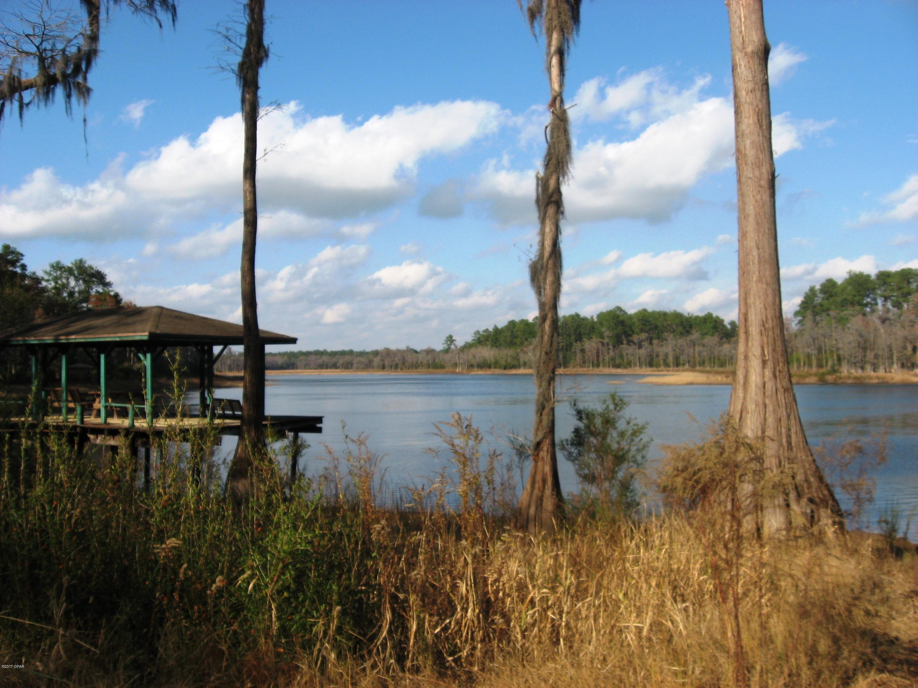 Lot 20 Paradise Lakes Road Chipley, FL 32428 - Photo 3 of 8