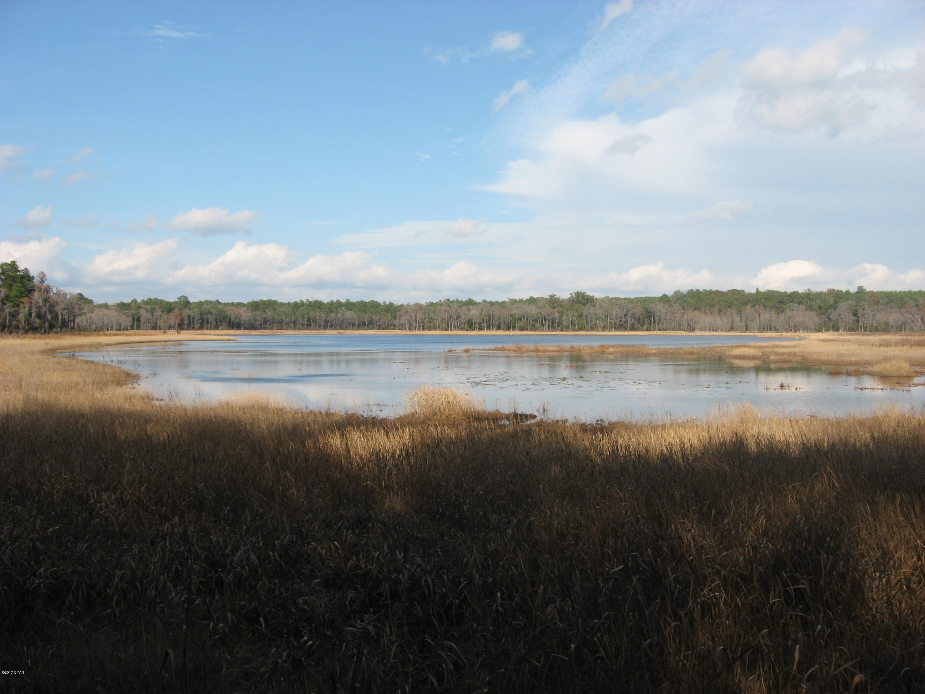 Lot 20 Paradise Lakes Road Chipley, FL 32428 - Photo 6 of 8