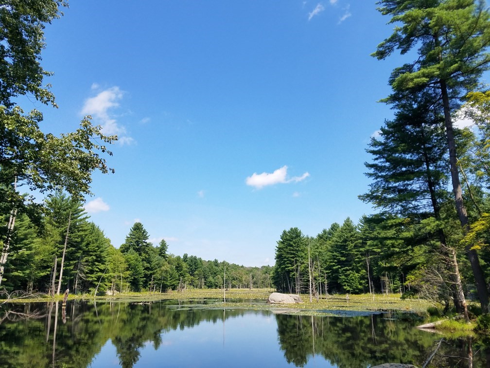 a view of lake with green space
