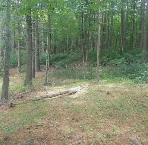 a view of a yard with a entertaining space