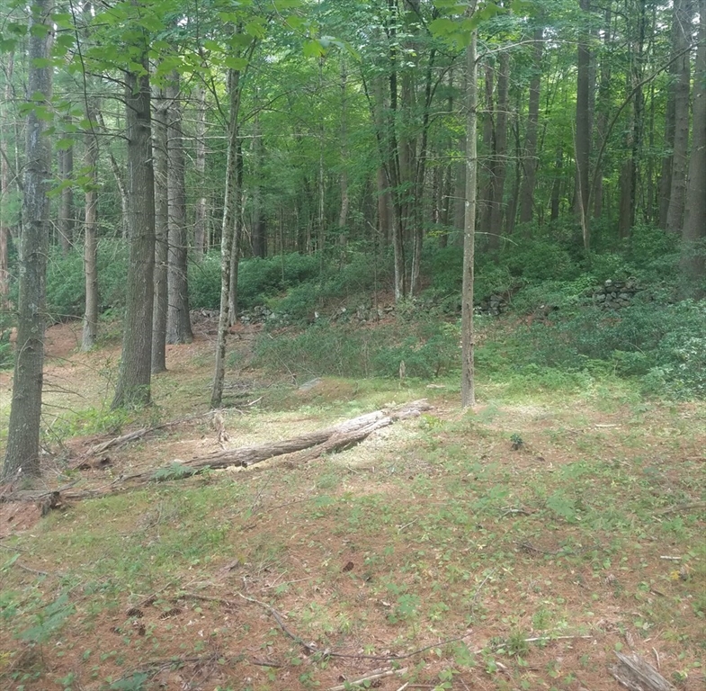 266 Holland Road Sturbridge, MA 01518 - Photo 12 of 19 a view of a yard with a entertaining space