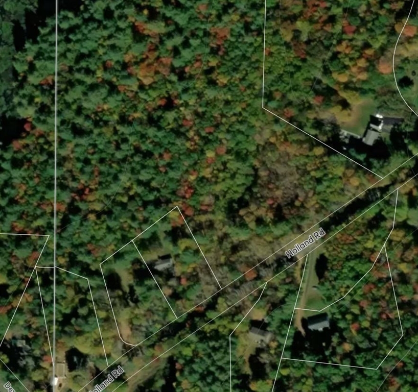 266 Holland Road Sturbridge, MA 01518 - Photo 18 of 19 a view of a forest