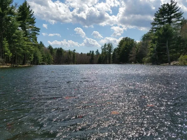 a view of outdoor space