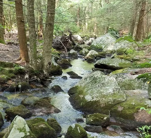 a view of lot of green space